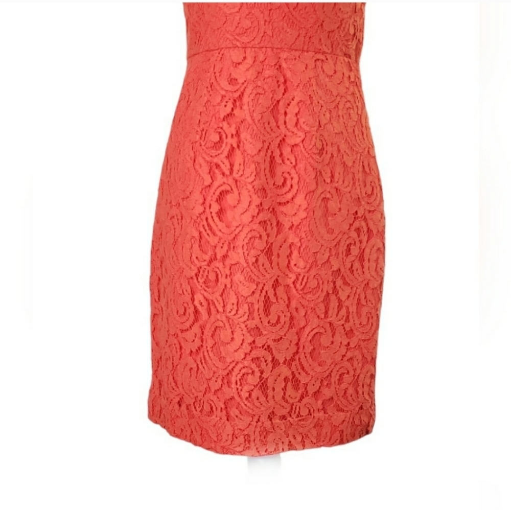 COPY - NWT J. Crew Alexa Dress in Leavers Lace - Picture 6 of 13